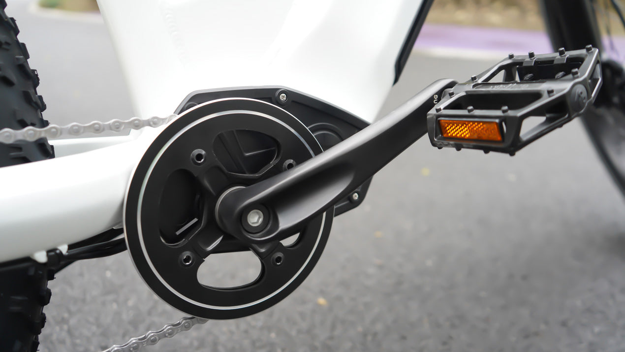 Himiway Zebra Step-Thru Electric Bike (250W Rare Hub Drive) paddle