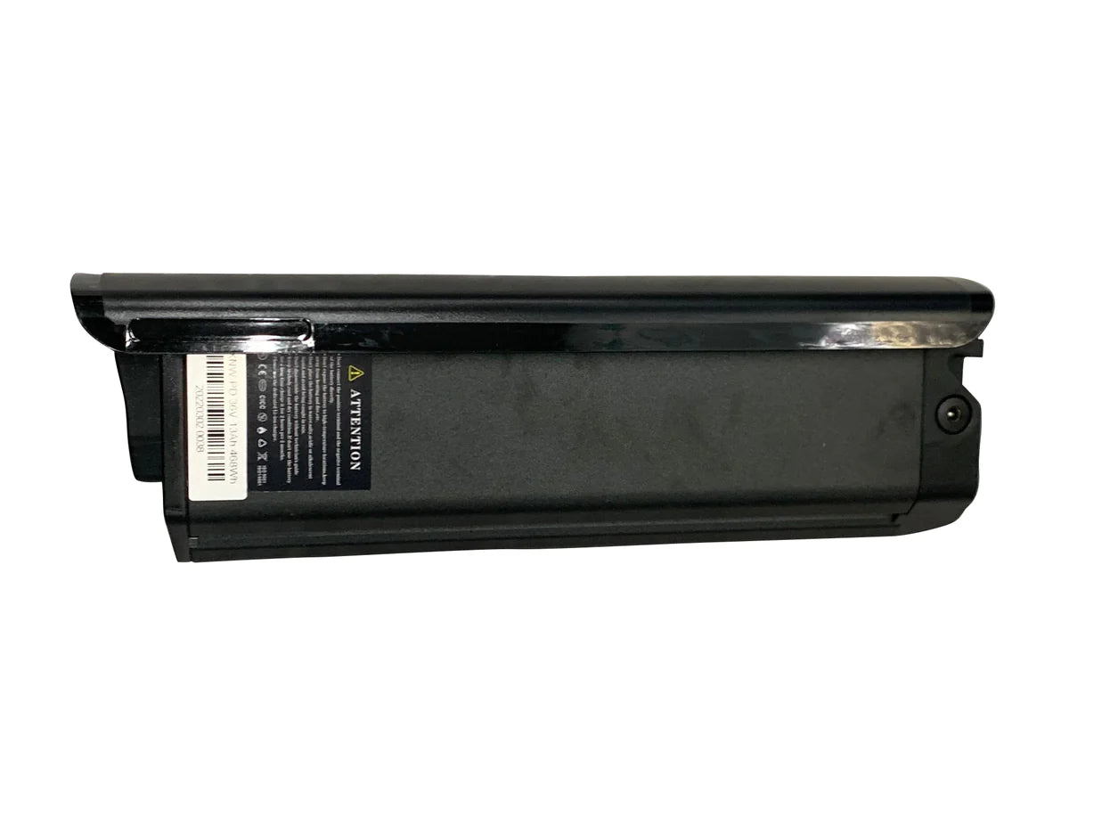 TDL 6151 Battery Fat Tire Electric Bike side views