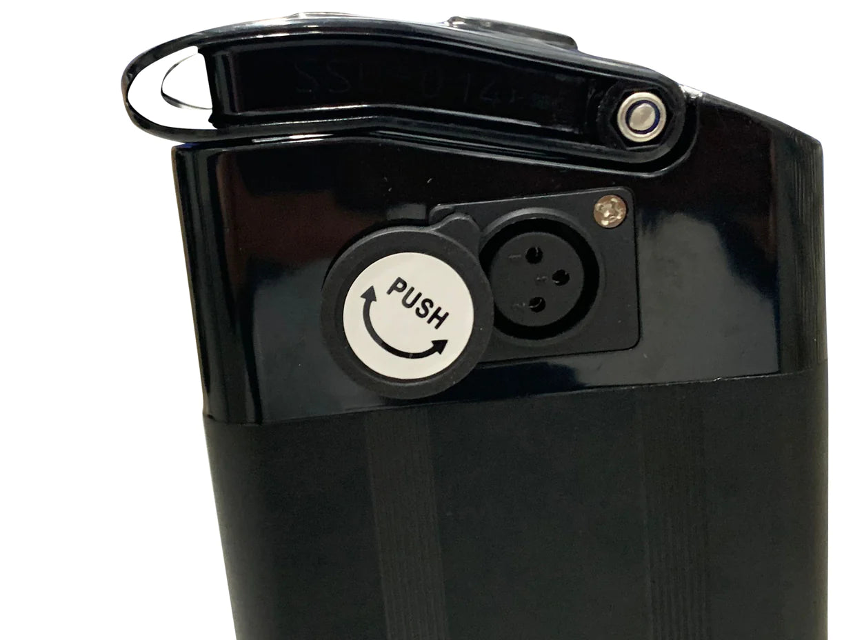Powerful 36V/48V-10/13/16/18Ah Ebike Battery push
