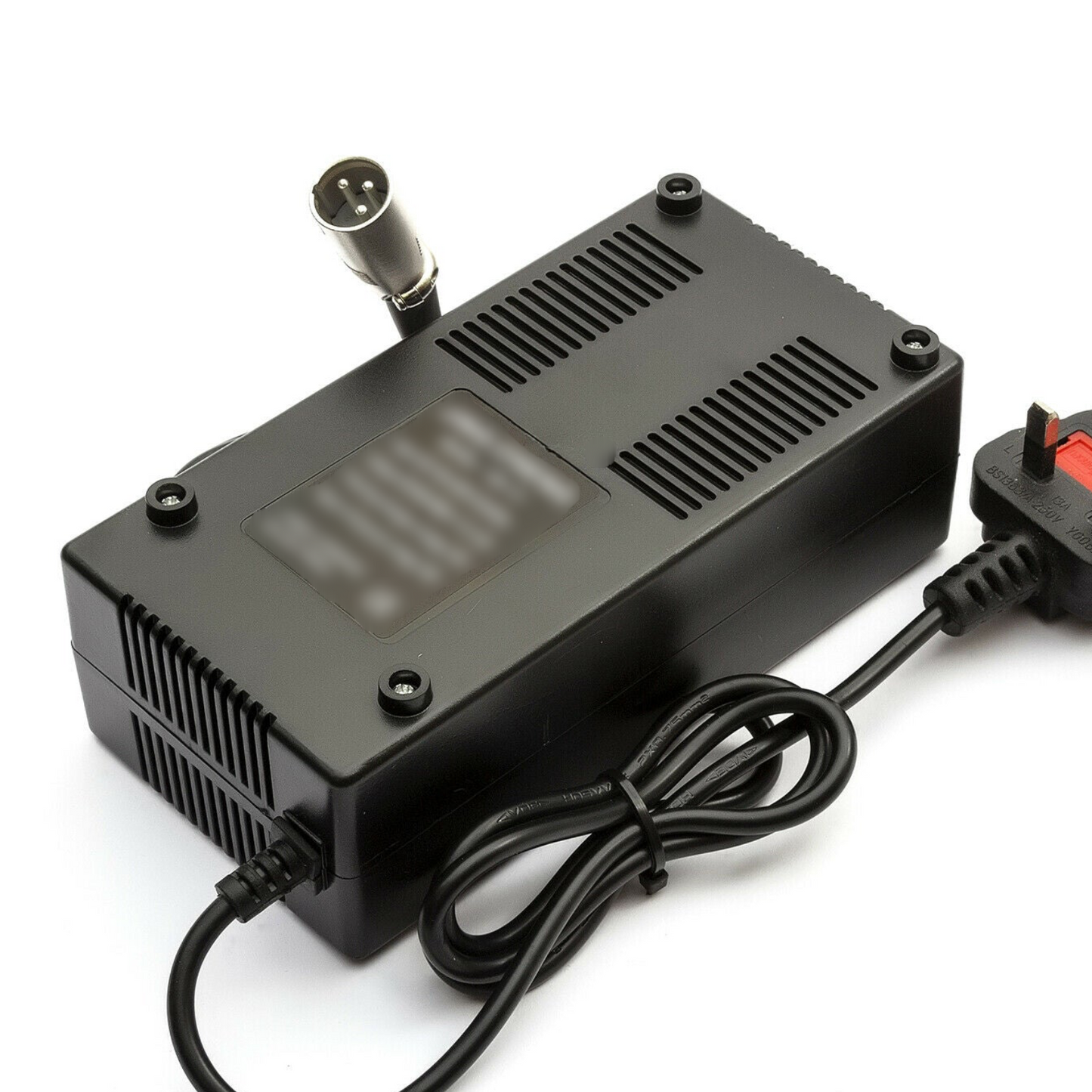 Fast-Charging 48V E-Bike Charger
