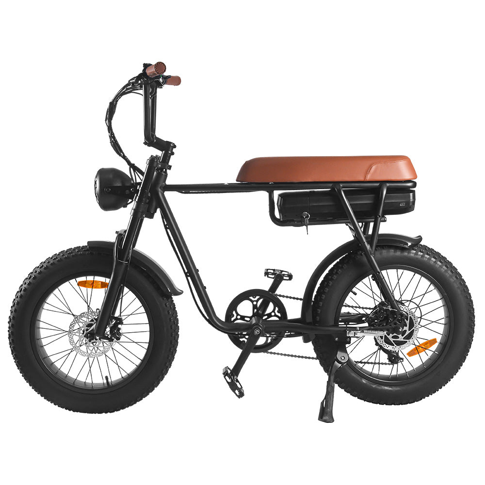 FXH006 eBike 1000W 48V fat tire