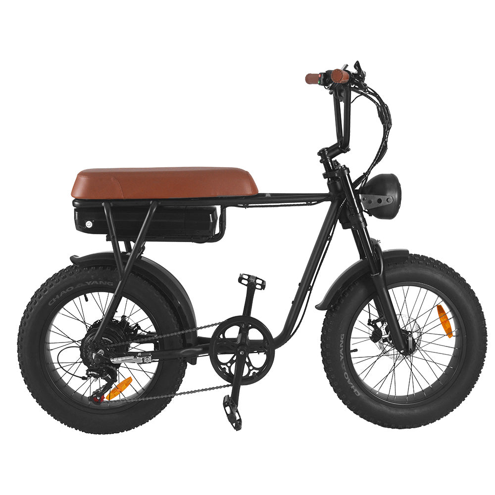 FXH006 eBike 1000W 48V