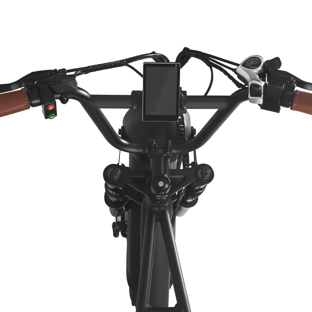 FXH006 eBike 1000W 48V display