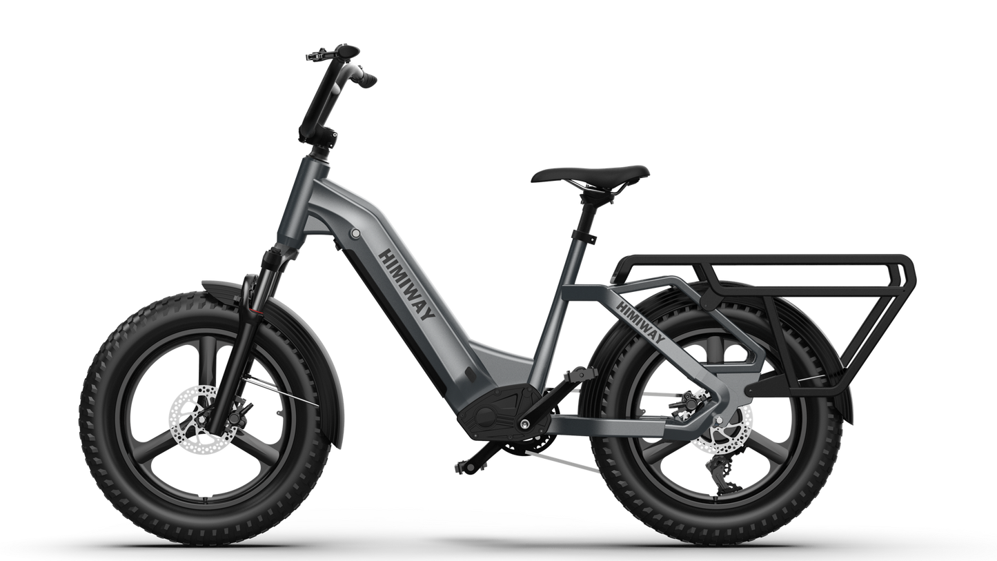 Himiway Big Dog Electric Bike - 48v250W Rare Hub-Drive