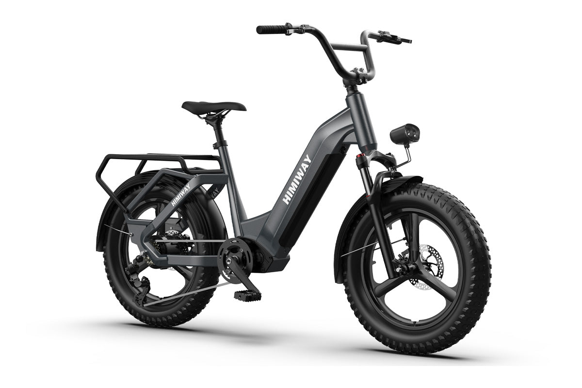 Himiway Big Dog Electric Bike - 48v250W Rare Hub-Drive Full body view