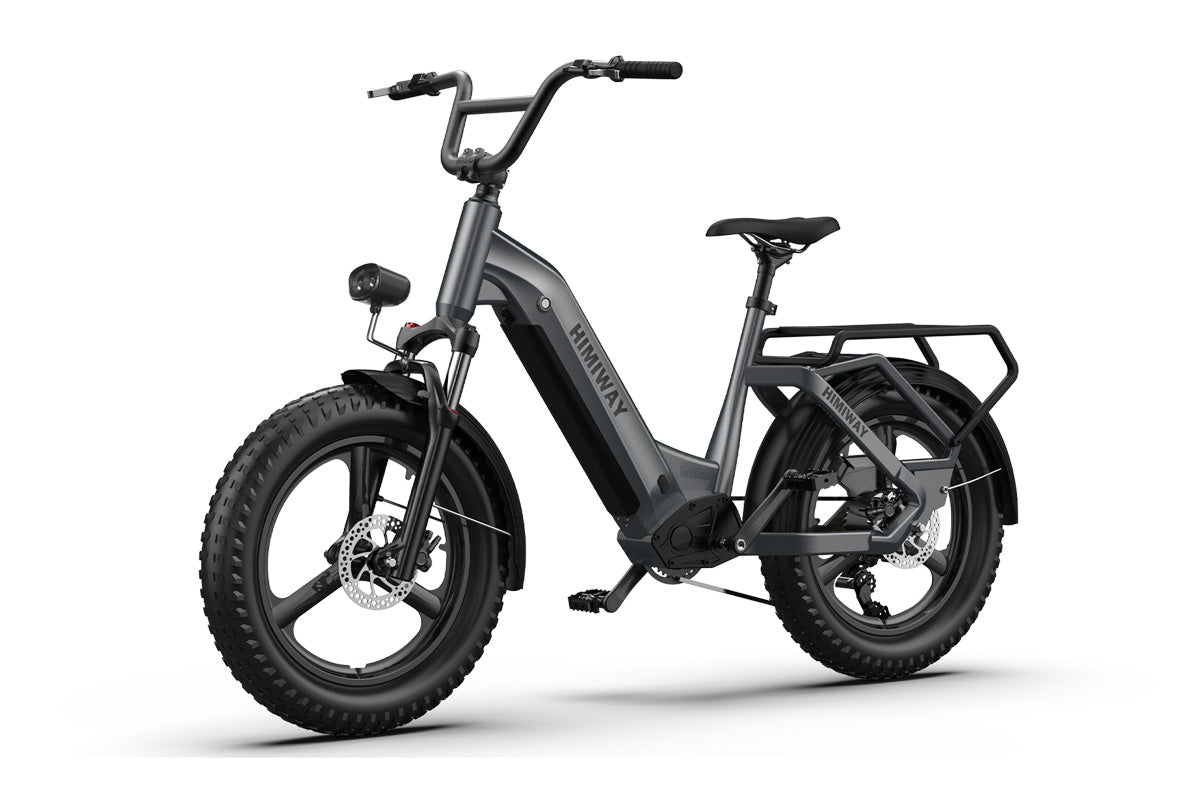 Himiway Big Dog Electric Bike - 48v250W Rare Hub-Drive front side view