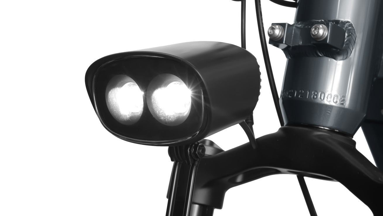 Himiway Big Dog Electric Bike - 48v250W Rare Hub-Drive head light