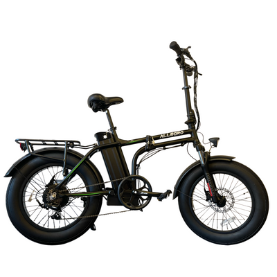 Allegro AEB fat tire Electric Bicycle 48V 750W 25/30ah